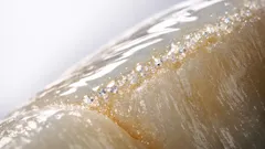 エナメル質は再生できる？ケラチンで歯を守る最新研究をやさしく解説